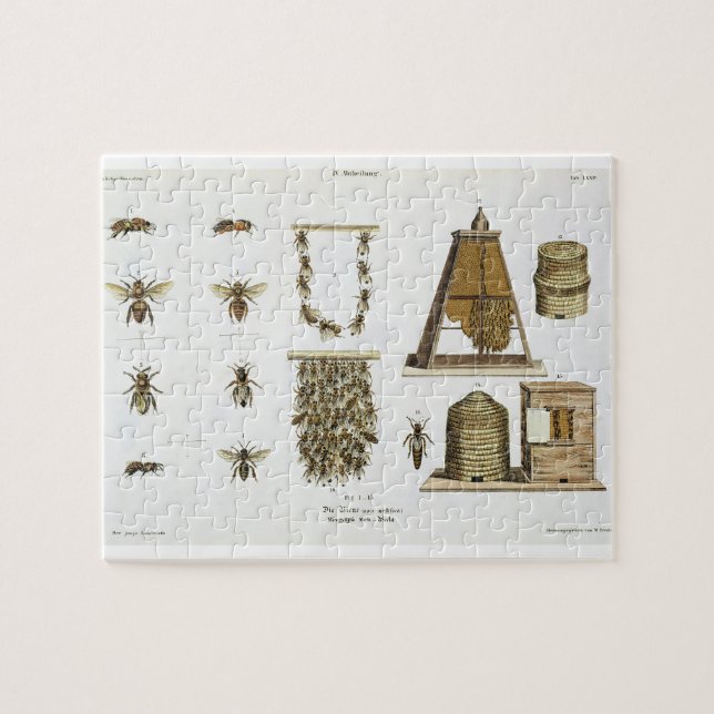 Bees and bee-keeping, from 'The Young Landsman', p Jigsaw Puzzle (Horizontal)