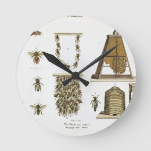 Bees and bee-keeping, from 'The Young Landsman', p Round Clock