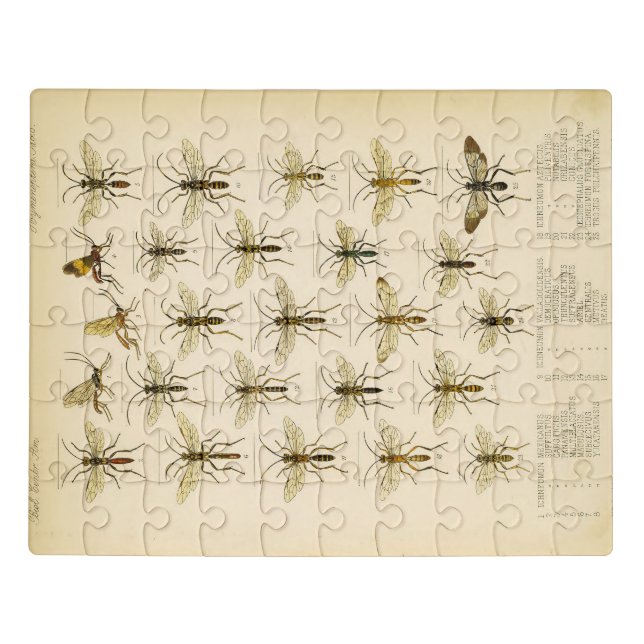 Bees and wasps from Cameron 1883-1890 Jigsaw Puzzle (Puzzle Horizontal)
