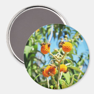 Bees at Work Magnet