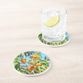 Bees at Work Sandstone Coaster