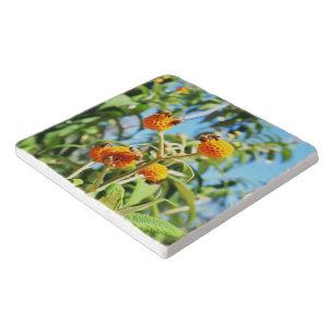 Bees at Work Trivet