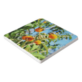 Bees at Work Trivet