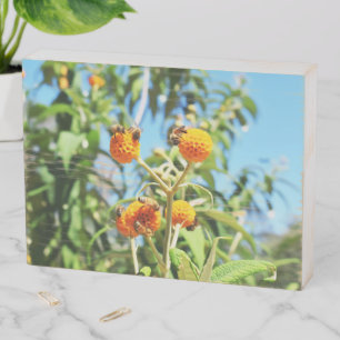 Bees at Work Wooden Box Art