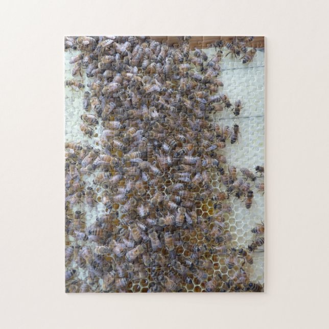 Bees, Bees!  Where's Queen Bee? Jigsaw Puzzle (Vertical)