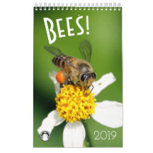 Bees