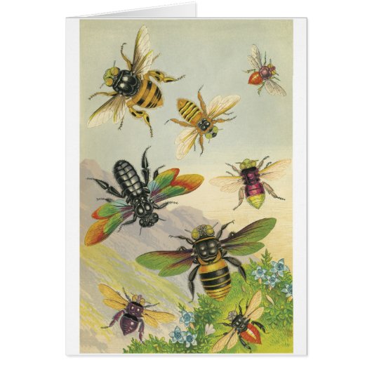 Bees Cards (Front)