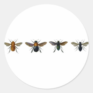 Bees Classic Round Sticker