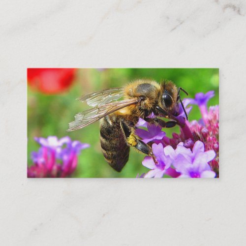 Bees for Sale Business Card
