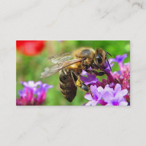Customizable Bees for Sale Business Card