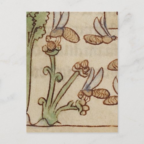 Bees from a Medieval Manuscript Postcard