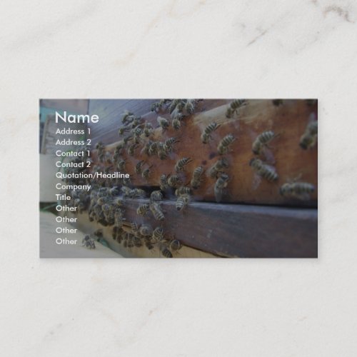 Bees Getting In Their Hive Business Card Templates