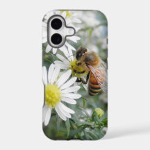 Bees Honey Bee Wildflowers Flowers Daisies Photo