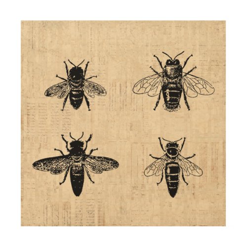 Bees Illustration Antique Bee Art Vintage Design