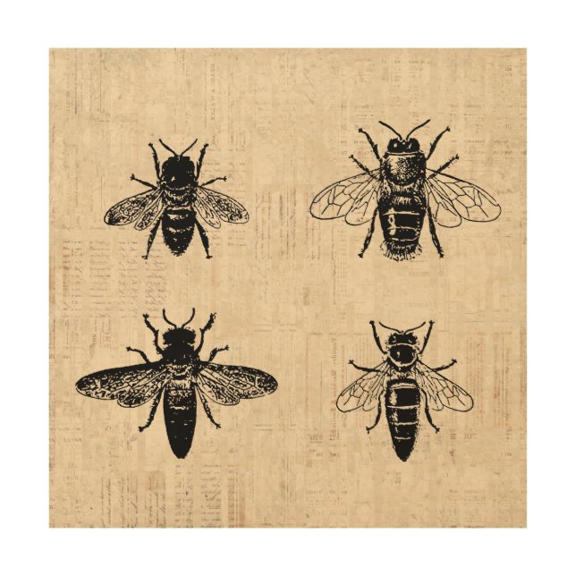 Bees Illustration Antique Bee Art Vintage Design (Front)