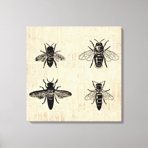 Bees Illustration Antique Bee Art Vintage Design Canvas Print