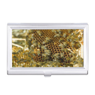 Bees In Hive, Western Cape, South Africa Business Card Case
