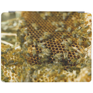 Bees In Hive, Western Cape, South Africa iPad Smart Cover
