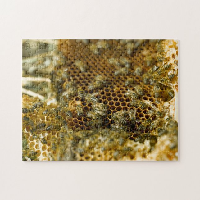 Bees In Hive, Western Cape, South Africa Jigsaw Puzzle (Horizontal)