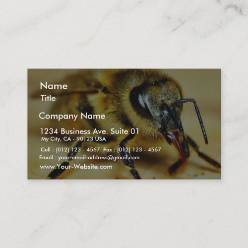 Bees Insects Business Cards