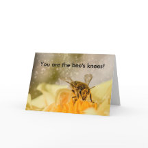 Bee's Knees Congratulations Card