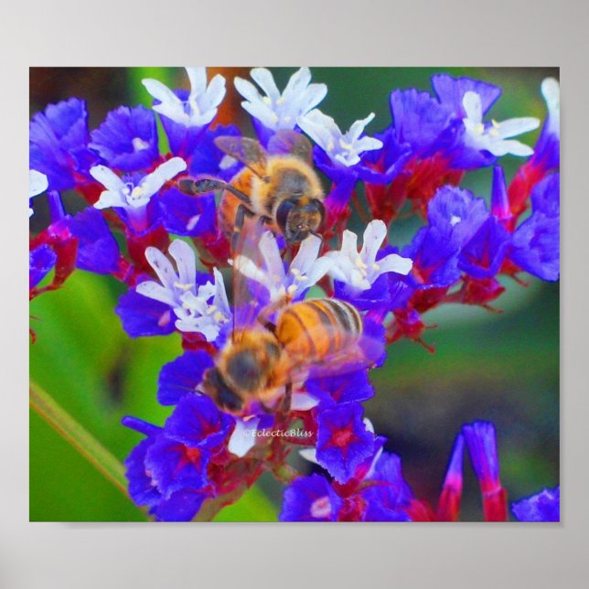 Bees, Love & Bliss Poster (Front)