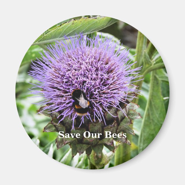 BEES   MAGNET (Front)