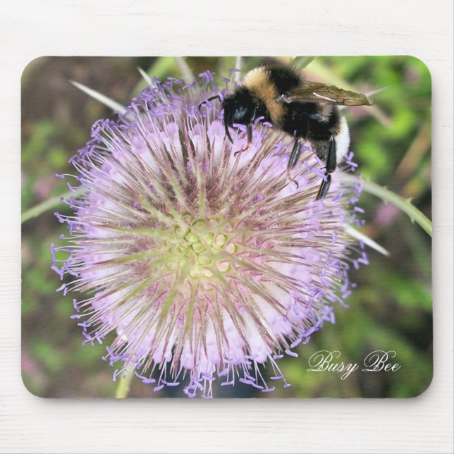 BEES MOUSE PAD (Front)