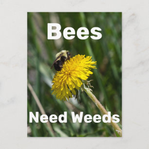 Bees Need Weeds Postcard