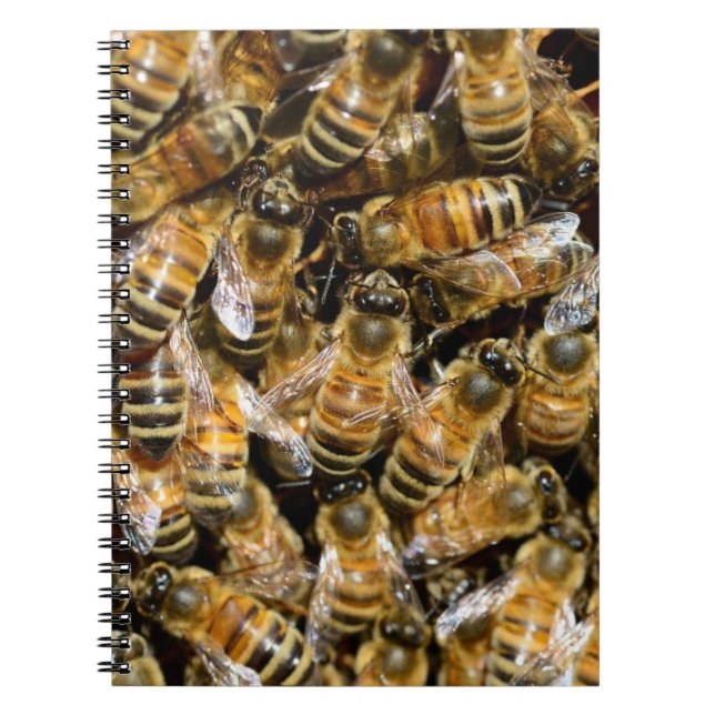 Bees Notebook (Front)
