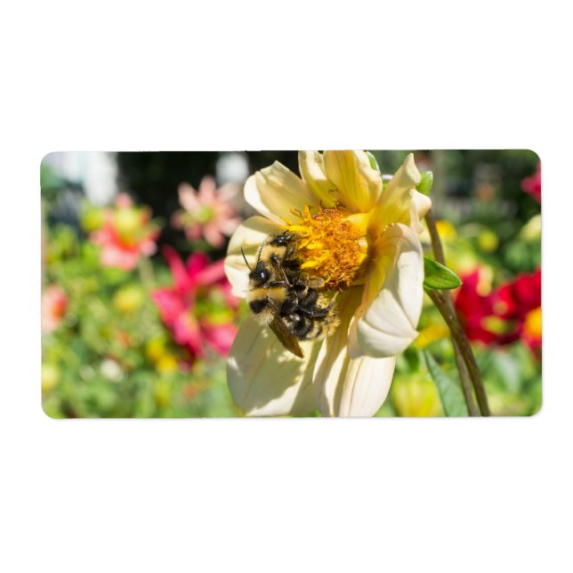 Bees on a flower label (Front)