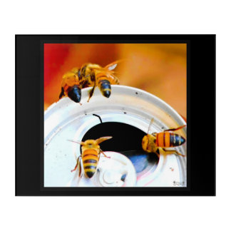 Bees on a Soda Can Acrylic Print