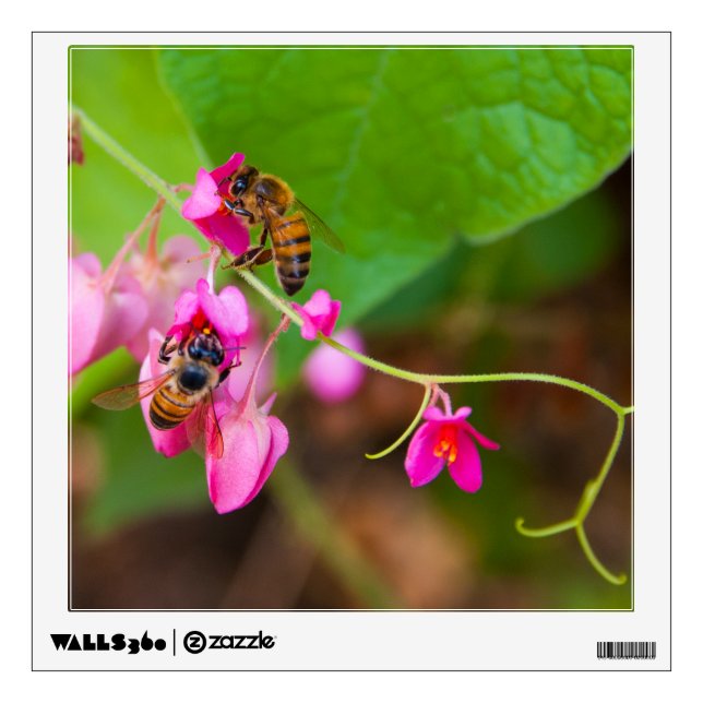 Bees On Coral Vine Flowers Photograph Wall Decal (Front)