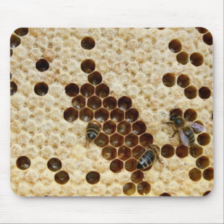 Bees On Honey Comb Mouse Pad