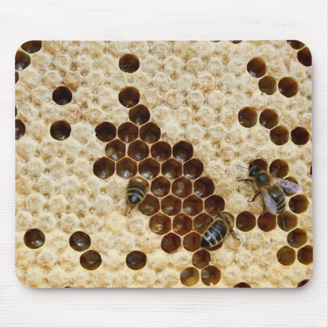 Bees On Honey Comb Mouse Pad (Front)