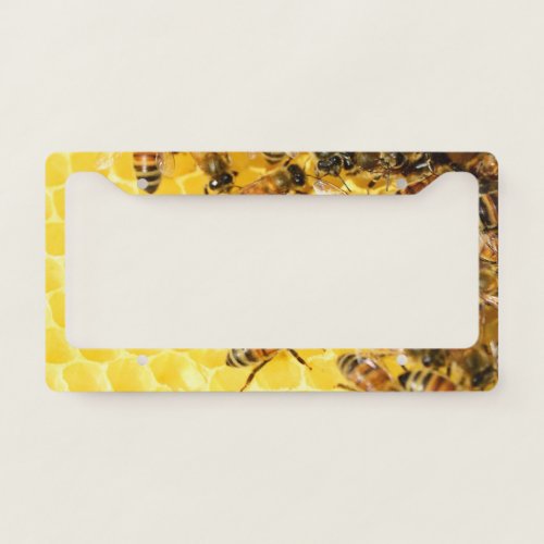 Bees on Honeycomb License Plate Frame