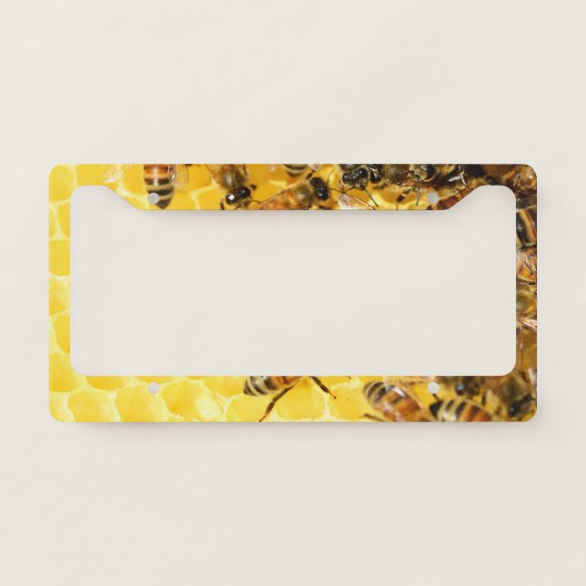 Bees on Honeycomb License Plate Frame (Front)