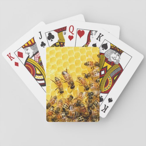 Bees on Honeycomb Playing Cards