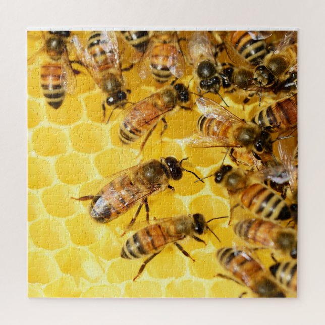 Bees on Honeycomb - Puzzle (Vertical)