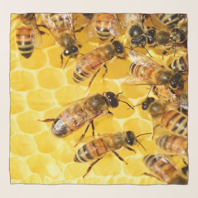 Bees on Honeycomb - Silk Scarf (Front)