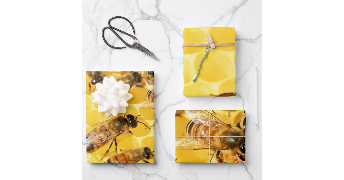 GRAPHICS & MORE Bee on Honeycomb Gift Wrap Wrapping Paper Roll