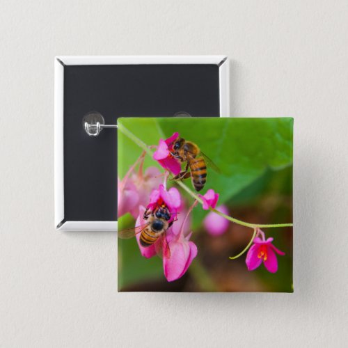 Bees On Pink Coral Vine Flowers Close_Up Photo Pinback Button