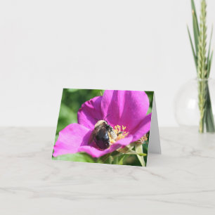 Bees On Pink Rose Nature Photography Note Card