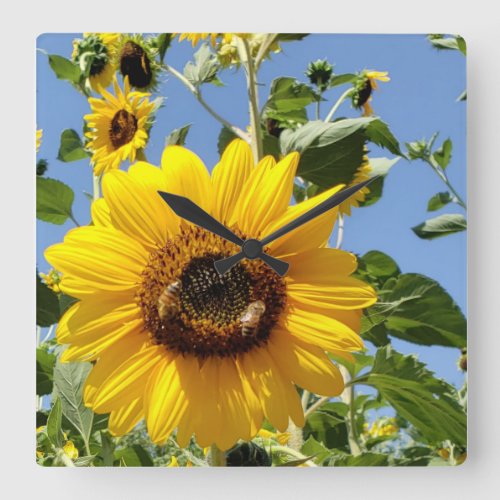 Bees on Sunflower  Square Wall Clock