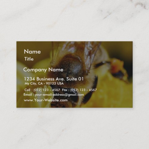 Bees Pollen Insects Wings Macro Bugs Business Cards