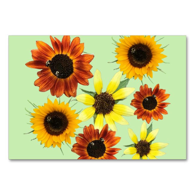 Bees pollinate photo reading flashcards flashcards table number (Front)