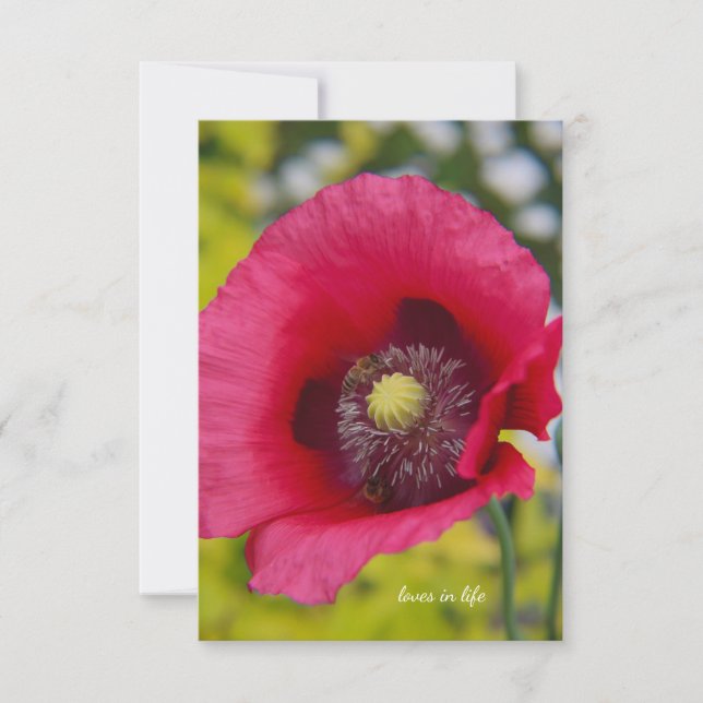 Bees & Poppy Note Card (Front)