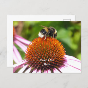 BEES  POSTCARD