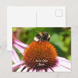 BEES  POSTCARD