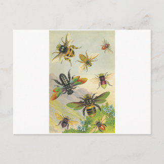 Bees Postcard